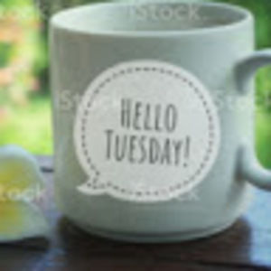 Meet your Posher, Johnnae